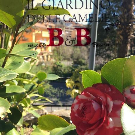 B&B Il Giardino Delle Camelie Палестрина Екстер'єр фото
