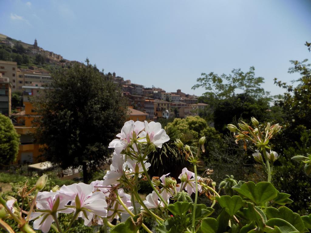 B&B Il Giardino Delle Camelie Палестрина Екстер'єр фото