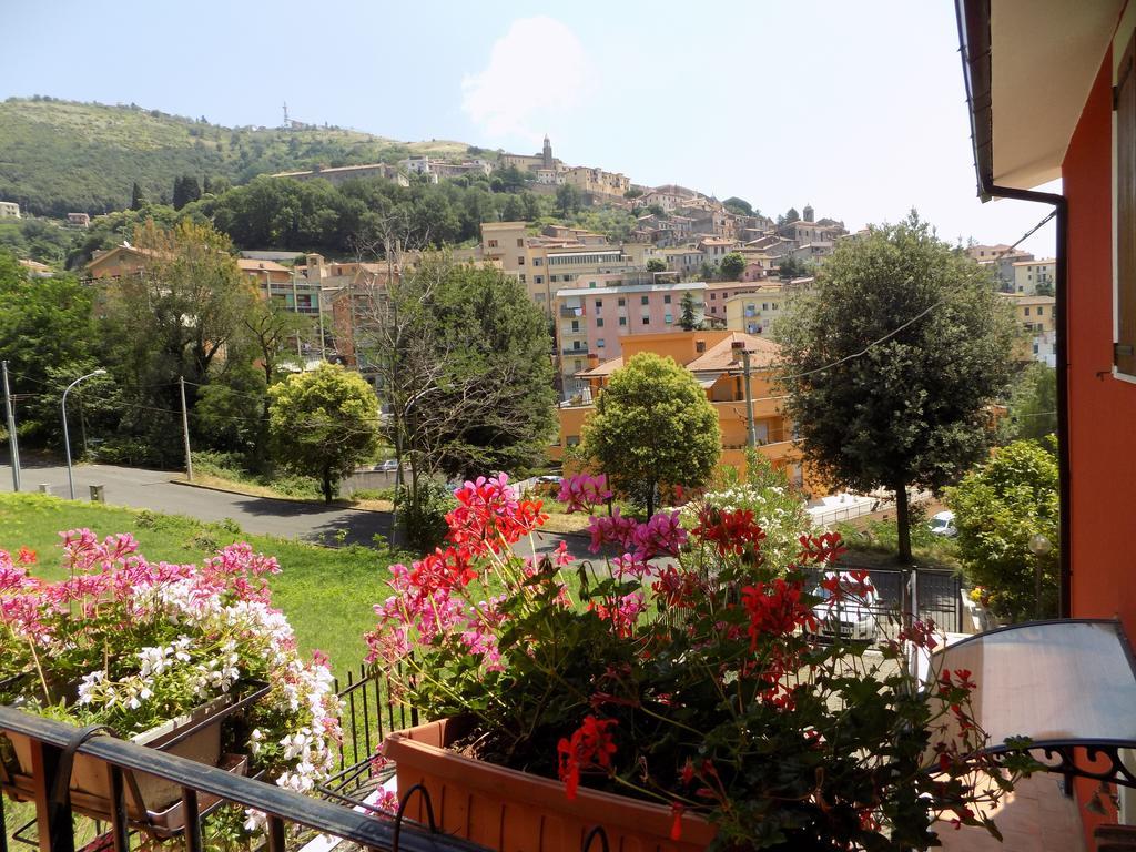 B&B Il Giardino Delle Camelie Палестрина Екстер'єр фото