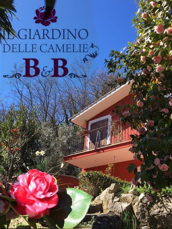 B&B Il Giardino Delle Camelie Палестрина Екстер'єр фото