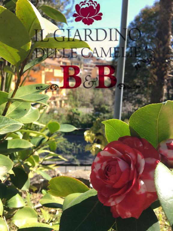 B&B Il Giardino Delle Camelie Палестрина Екстер'єр фото